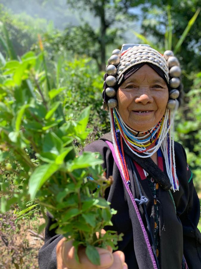 La Maison - Chiangmai Mae Taeng Dış mekan fotoğraf