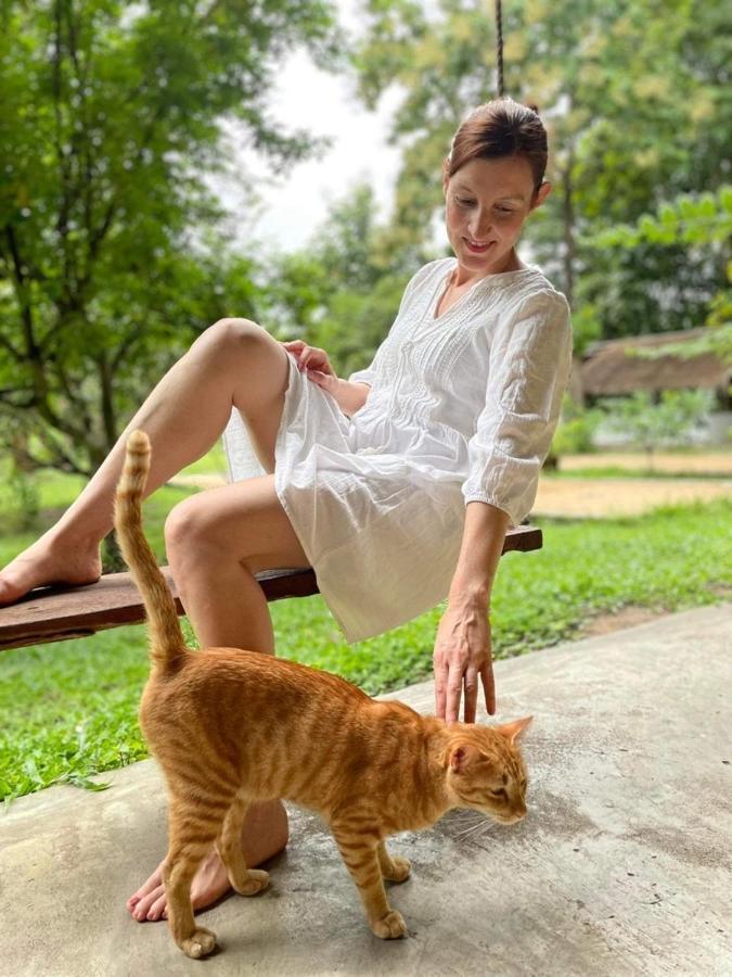 La Maison - Chiangmai Mae Taeng Dış mekan fotoğraf